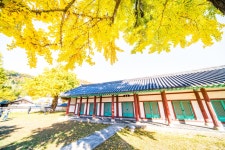 베스트갤러리 - 전주 향교