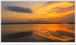 베스트갤러리 - 다대포 노을빛