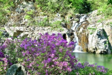 베스트갤러리 - 용소폭포...