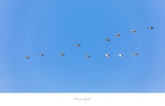 베스트갤러리 - 경안천에서