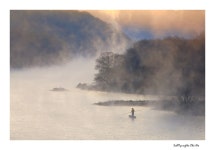 베스트갤러리 - 물안개 자욱한 날