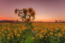 베스트갤러리 - 갯골생태공원