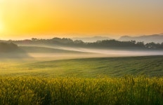 베스트갤러리 - 안성목장