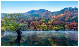 베스트갤러리 - 주산지 추경