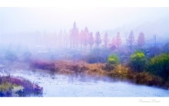 베스트갤러리 - 용담호의 추억 ------