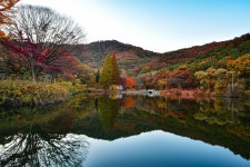 베스트갤러리 - 불장골 송곡지
