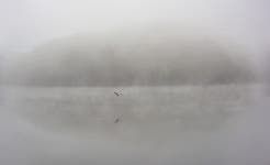 베스트갤러리 - 물안개 피는곳에