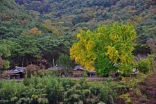 베스트갤러리 - 금시당