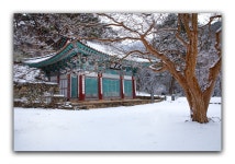베스트갤러리 - 갑사설경