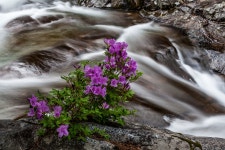 베스트갤러리 - 뱀사골