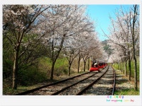 베스트갤러리 - 레일바이크