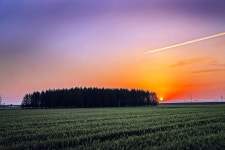 베스트갤러리 - 아침을 여는 청보리밭