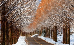 베스트갤러리 - 진안 메타길