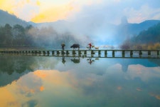 베스트갤러리 - 일터로 가는길