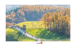 낭만포토클럽에 오신것을 환영합니다