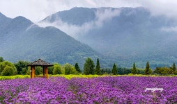 베스트갤러리 - 황산공원