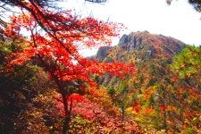 베스트갤러리 - 지리산 천왕봉