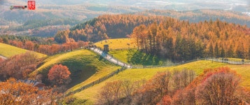 베스트갤러리 - 목장의 가을......