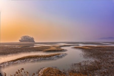 베스트갤러리 - 황산도의 겨울 아침풍경