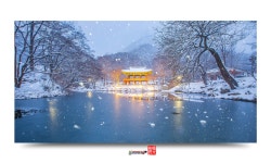 베스트갤러리 - 백양사 눈 내리던 날.....