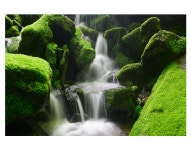 베스트갤러리 - 장전계곡