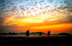 베스트갤러리 - 여 명 2