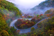 베스트갤러리 - 보발재