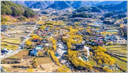베스트갤러리 - 산동의봄