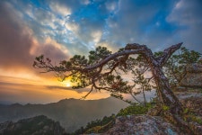 베스트갤러리 - 설악