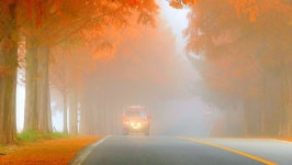 베스트갤러리 - 진안 메타길