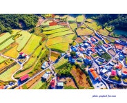 베스트갤러리 - 선학동