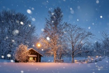 베스트갤러리 - 동화의 집