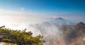 베스트갤러리 - 산정의 아침