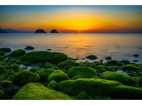 베스트갤러리 - 무슬목 일출