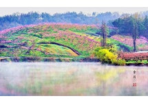베스트갤러리 - 도원의 꽃 향기 바람에 날리고...