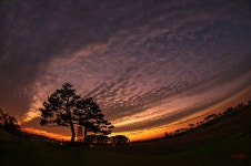 베스트갤러리 - 저녁 노을