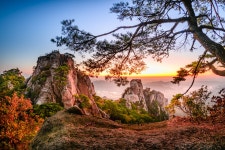 베스트갤러리 - 아름다운 강산62