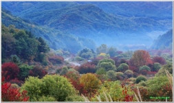 베스트갤러리 - 갑둔리 비밀의 정원