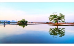 베스트갤러리 - 우강의 뜨락