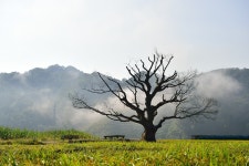 베스트갤러리 - 원정리 들녁?