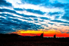 베스트갤러리 - 여 명 1