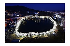 베스트갤러리 - 벚꽃 둘래길..