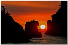 베스트갤러리 - 해금강 일출