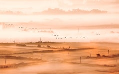 베스트갤러리 - 들녘의 아침