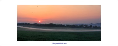 베스트갤러리 - 목장에 일출