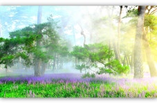 베스트갤러리 - 상오리솔숲