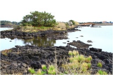 베스트갤러리 - 오조리 내수변