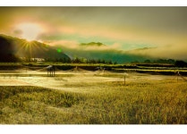 베스트갤러리 - 아침 농촌들녘