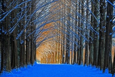 베스트갤러리 - 메타길 설경