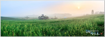 베스트갤러리 - 안성목장